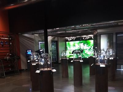 Manzanita Cannabis Dispensary