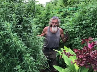 Maui CBD Collective @Goin Left Boutique