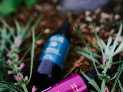 Maui CBD Prime Ala Moana