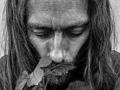 Maui CBD Prime Ala Moana