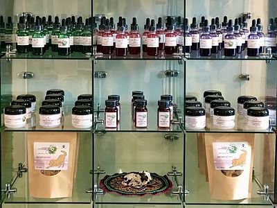 Medical CBD Supply store
