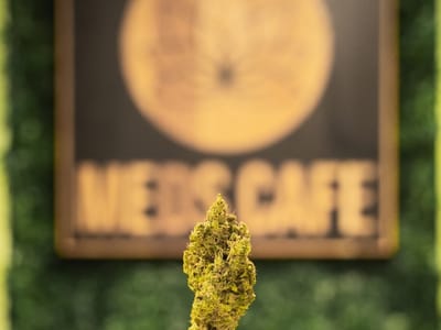 Meds Cafe Recreational Marijuana Dispensary
