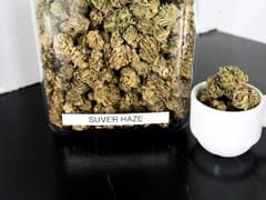 Melting Leaf CBD Spring