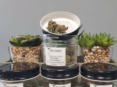 Memphis Cbd Plus Dispensary- THC/Delta8 #1