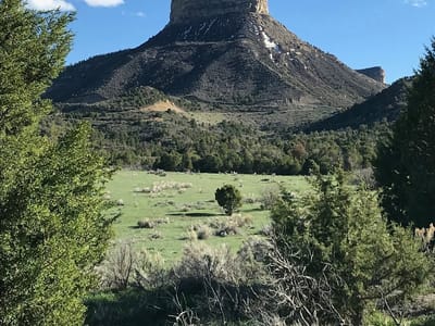 Mesa Verde Hemp