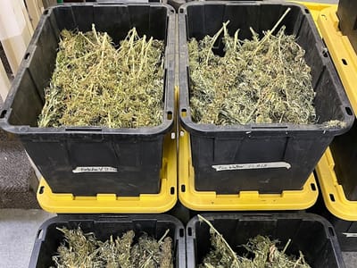 Metolius Hemp Company