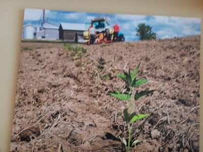 Mike & Catherine - Our-CBD-Store