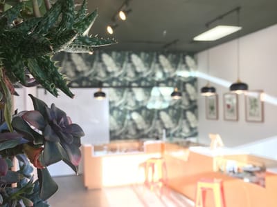 Montana Medicinals - Open Regular Hours Serving All Adult Patients