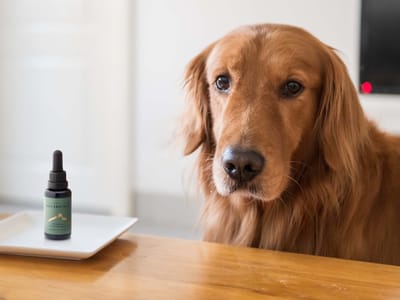 Montana Pure Botanicals