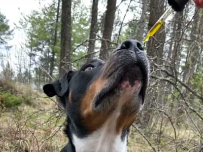 Montana Pure Botanicals