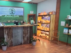 Mother Earth Natural Health - The CBD Experts