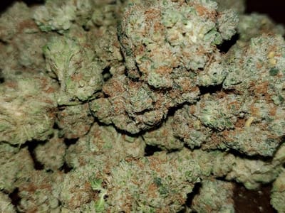 Mountain Annie's Cannabis - Recreational Dispensary