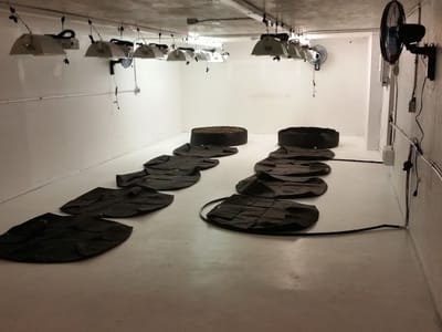 Mountain Heights (North)