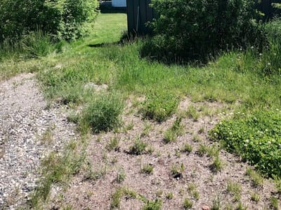 Mountain Medicine @ Farmhouse Dispensary