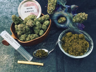 Mr. Nice Guy Marijuana Dispensary Waldport