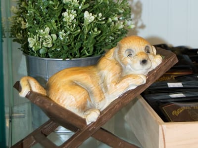 Mr. Nice Guy St. Charles