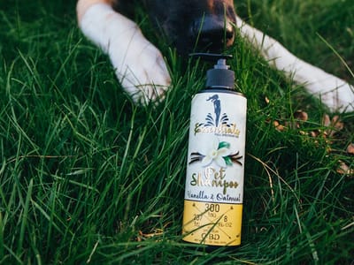 Mystic Alternatives CBD / Delta 8 and More