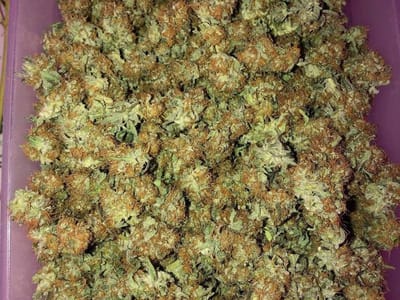 Native Brothers CBD & Dispensary LLC