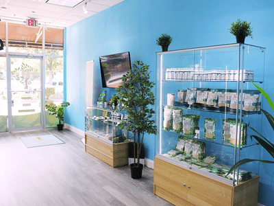 Natural Life CBD Kratom Kava