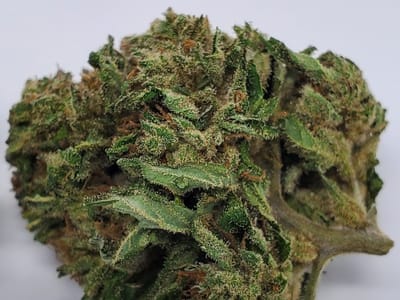 Naturalistic Wellness CBD