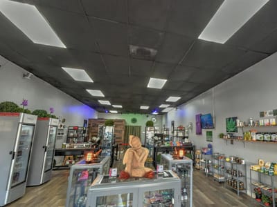 Naturalistic Wellness CBD