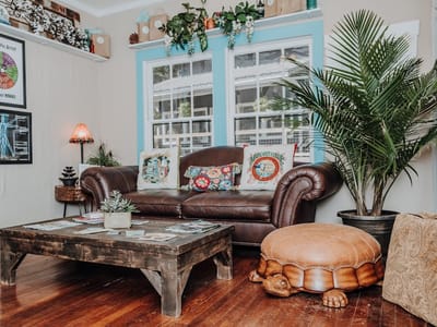 Nature's Choice CBD & Sups