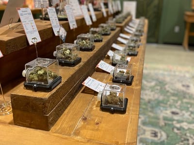 Neighborhood Provisions