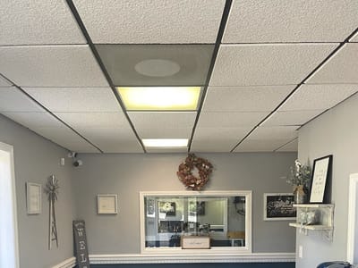 New River Botanicals