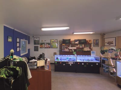 NM Brief Relief: Medical Marijuana Cards & CBD Products