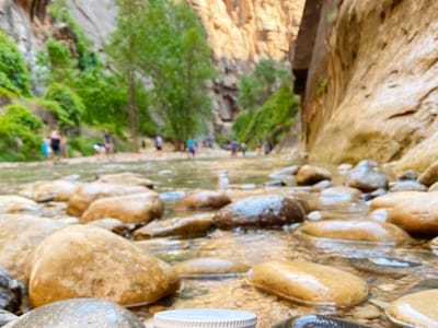 Nola Cane Juice Bar & Wellness