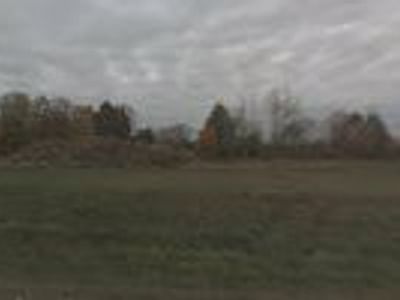 Northern High Lights