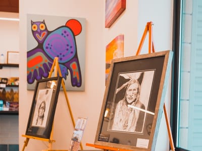 Northern Light Cannabis Co.