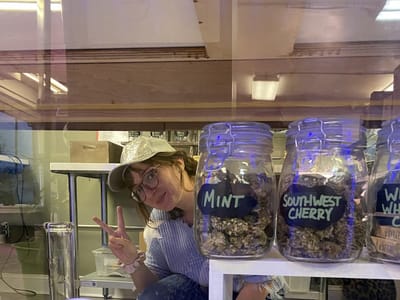 Northern Virginia Hemp and Agriculture