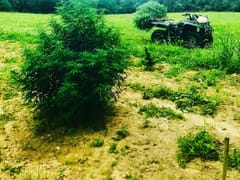 Northern Virginia Hemp Company L.L.C - “Virginia Hemp”