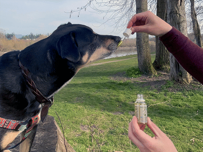 Northwest Natural Care