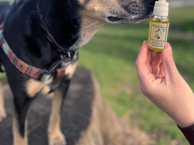 Northwest Natural Care