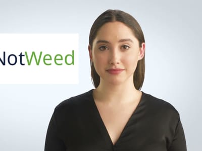 NotWeed CBD