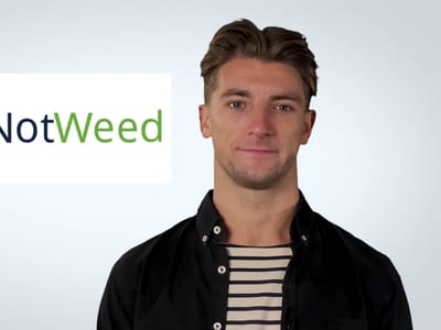 NotWeed CBD