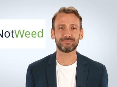 NotWeed CBD