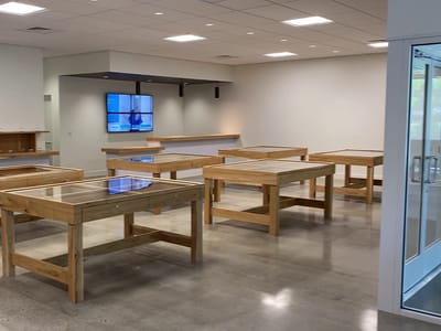 NUG x Sundial Collective