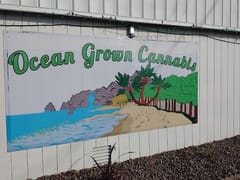 Ocean Grown Cannabis Co.