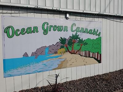 Ocean Grown Cannabis Co.