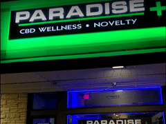 Paradise Plus