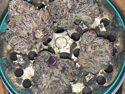 Pecos Valley Production