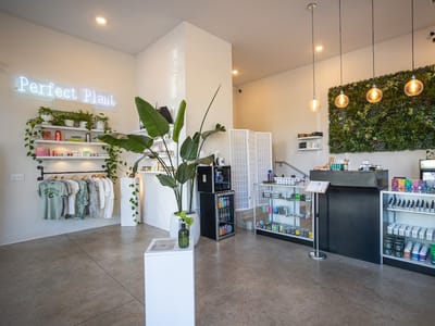 Perfect Plant Hemp Co | Cannabis Dispensary - CBD, THC & More.