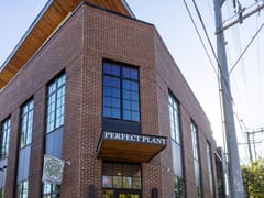 Perfect Plant Hemp Co | Cannabis Dispensary - CBD, THC & More.