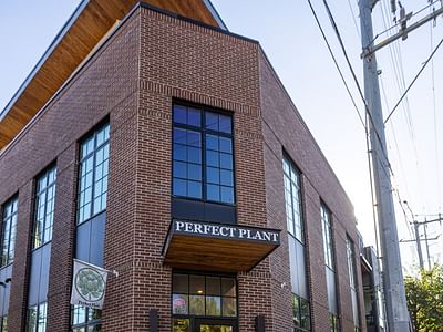 Perfect Plant Hemp Co | Cannabis Dispensary - CBD, THC & More.