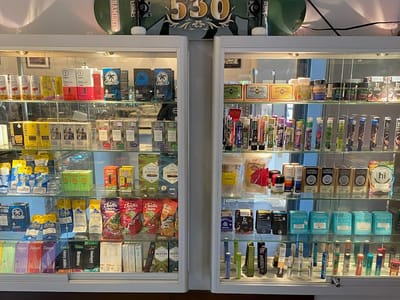 Perfect Union Shasta Lake