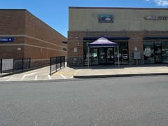 Perfect Union Shasta Lake