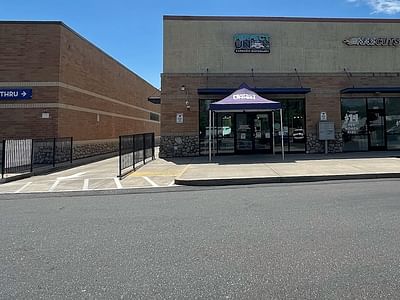 Perfect Union Shasta Lake